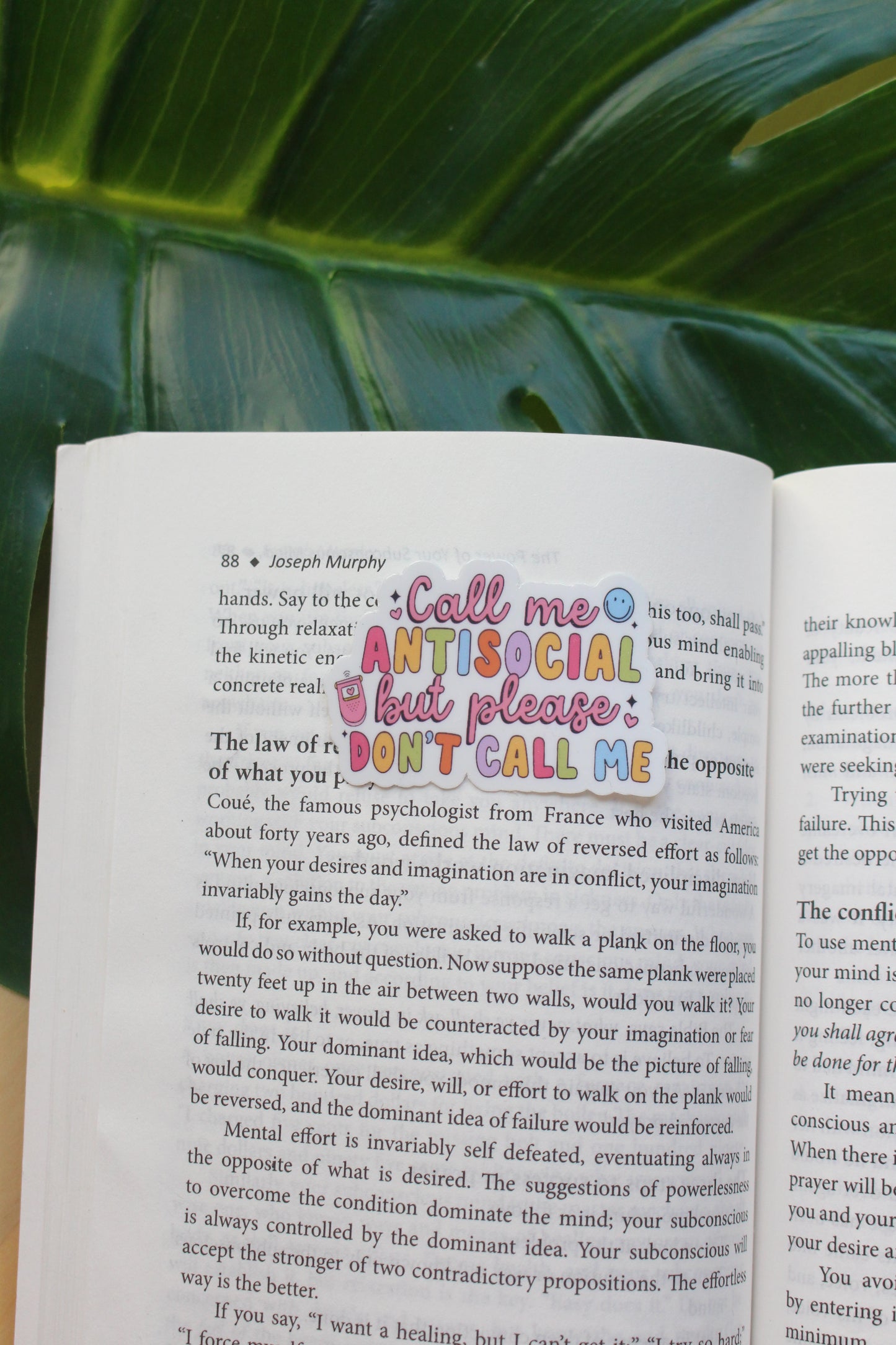 Call Me Antisocial But Please Don’t Call Me Sticker, Mental Health Decal, Water bottle Stickers