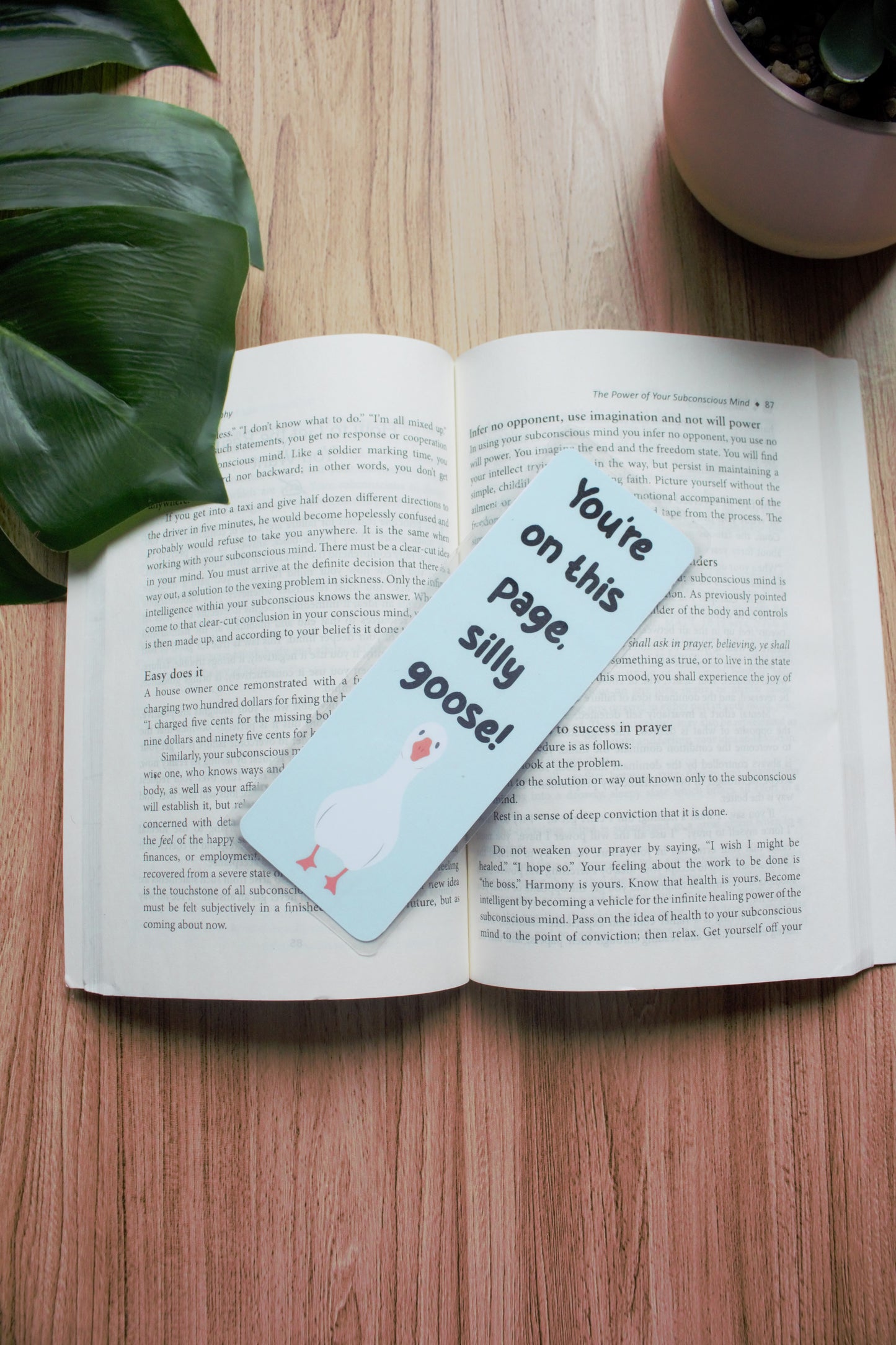 You're on this page silly goose bookmark